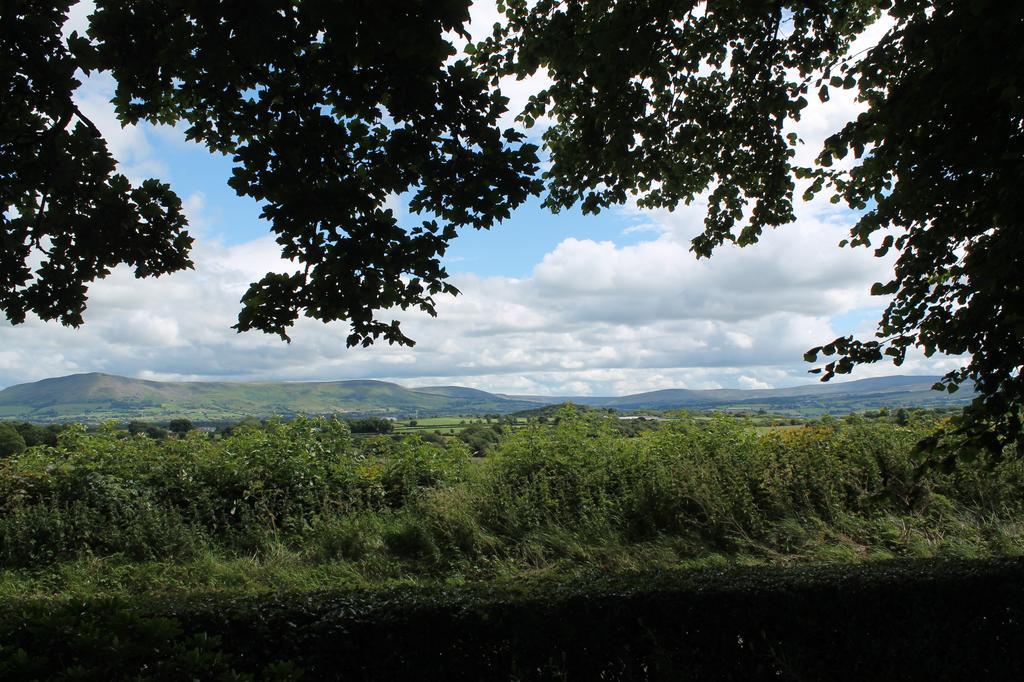 Ballyhargan Farm House Villa Dungiven Eksteriør billede